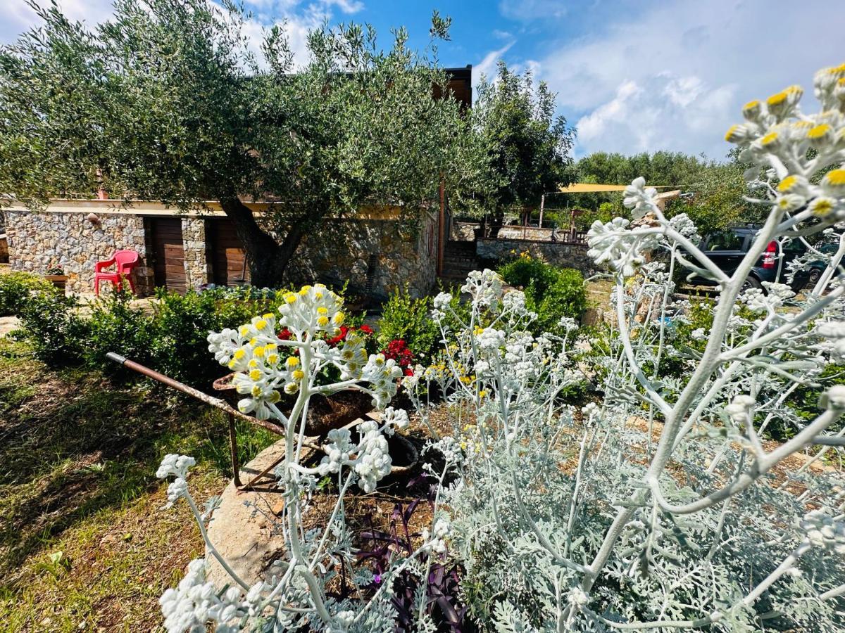 Villetta Starza Marina di Camerota Exterior photo